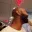 joebudden joebudden