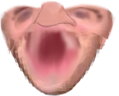 0Head Discord emoji