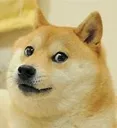 doge Discord Emoji