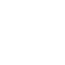 dsc dsc