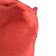 hypercatjam