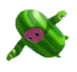 MelonGuy