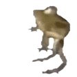 vibesfrog Discord emoji