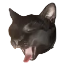 vladutscream