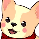 corgiAww