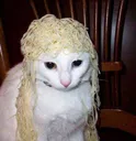 spaghetticat Discord Emoji