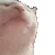 catvibe