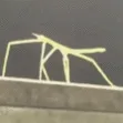 stickbug