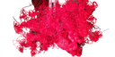 spaghetti Discord emoji