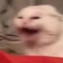 hAAAAAAAAAAAA