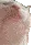 catJAM