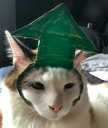 cattouppo Discord emoji