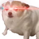 SmolTriggered