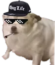 SmolThug SmolThug