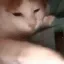 9ACOSP_juulcat 9ACOSP_juulcat
