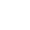Skull Skull