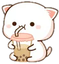 katboba