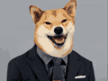 dogepoitinggun