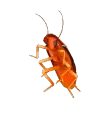 emoji_29