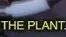 ThePlant