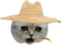 sadfarmer