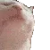CatJam