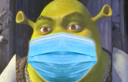 shrekwothdamask