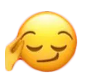 shy2 shy2