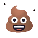 poo