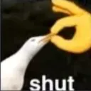 shut