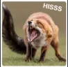 foxhissss Discord Emoji