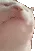 catJAM