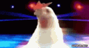 chiken