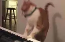 keyboardsmash