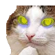 Think_Intensifies