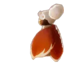 bmaapkan