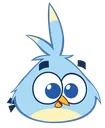 Luca Luca