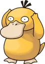 psyduck