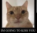 iamgoingtokissyou iamgoingtokissyou