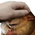 PETTHERAT