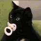 babynapnap babynapnap