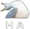 Ha Discord emoji