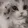 HappyCat