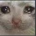 sad_crying