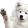 dogwave