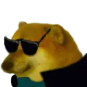 coolcheems