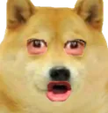 PogeU