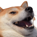 raff Discord emoji