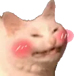 cat_blush