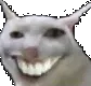 whasgudbro